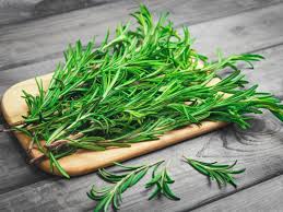 Image result for rosemary